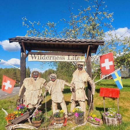 Elch Zimmer Wilderness Life Arvidsjaur Buitenkant foto