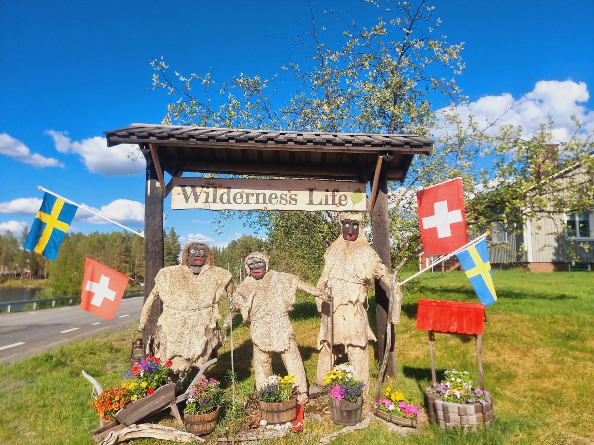 Elch Zimmer Wilderness Life Arvidsjaur Buitenkant foto
